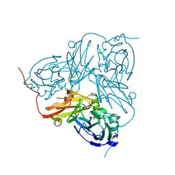 BU of 1oe1 by Molmil