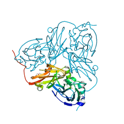 BU of 1oe2 by Molmil