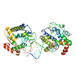 BU of 1oe4 by Molmil