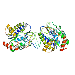 BU of 1oe6 by Molmil