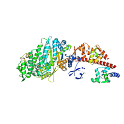 BU of 1oe9 by Molmil