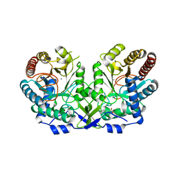 BU of 1og0 by Molmil