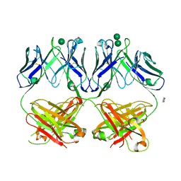 AU of 1op3 by Molmil