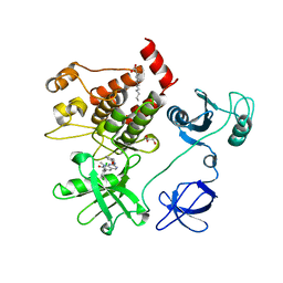 BU of 1opk by Molmil