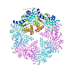 BU of 1opx by Molmil