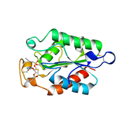 BU of 1oxm by Molmil