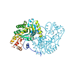 BU of 1oxp by Molmil