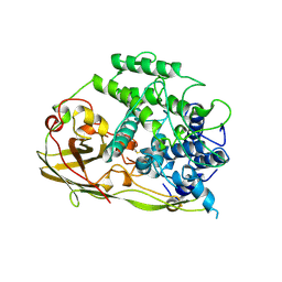 BU of 1oxy by Molmil