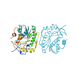 BU of 1p39 by Molmil