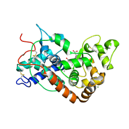 BU of 1pa2 by Molmil