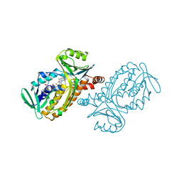 BU of 1pbc by Molmil