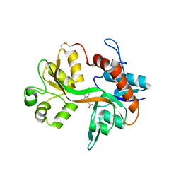 BU of 1pbq by Molmil