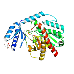 BU of 1pca by Molmil