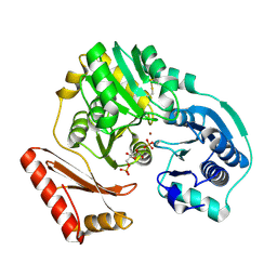 BU of 1pcm by Molmil