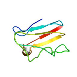 AU of 1pcy by Molmil