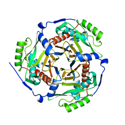 BU of 1pd5 by Molmil