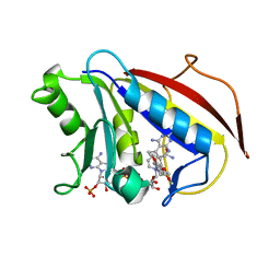 BU of 1pd8 by Molmil