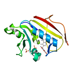 BU of 1pd9 by Molmil