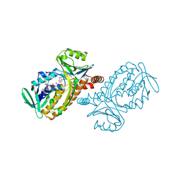 BU of 1pdh by Molmil