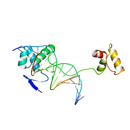 BU of 1pdn by Molmil