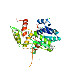 AU of 1pds by Molmil