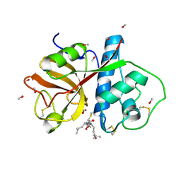 BU of 1pe6 by Molmil