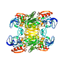 BU of 1ped by Molmil