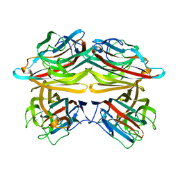 AU of 1pel by Molmil