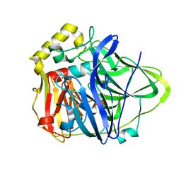 BU of 1pf3 by Molmil