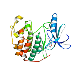 BU of 1pf8 by Molmil