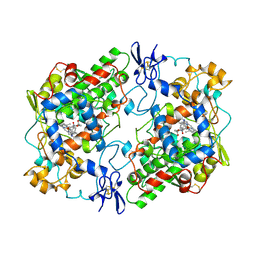 BU of 1pgf by Molmil