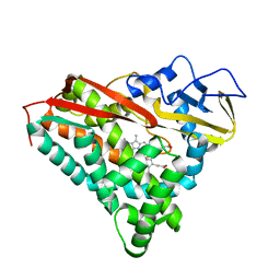 BU of 1phd by Molmil