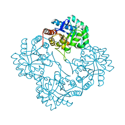 BU of 1phw by Molmil