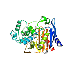 BU of 1pi4 by Molmil