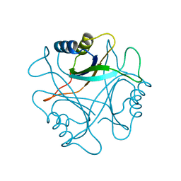 BU of 1pil by Molmil