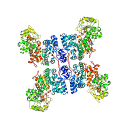 BU of 1pjl by Molmil