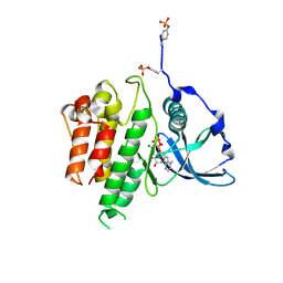 BU of 1pkg by Molmil