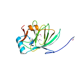 AU of 1plz by Molmil