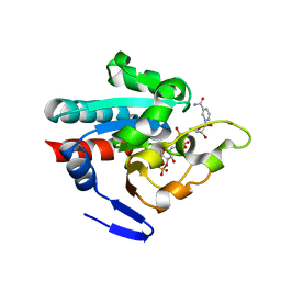 BU of 1pno by Molmil