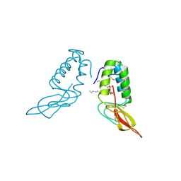 BU of 1poc by Molmil