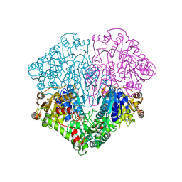 BU of 1pox by Molmil