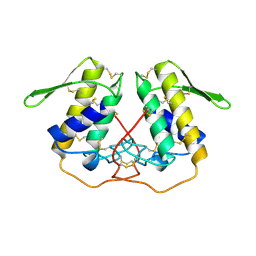 BU of 1pp2 by Molmil