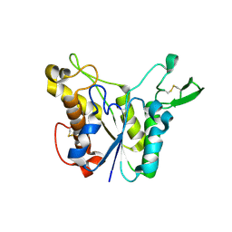 BU of 1pp4 by Molmil