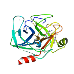 BU of 1ppc by Molmil