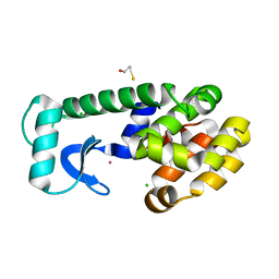 BU of 1pqi by Molmil