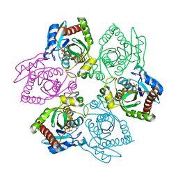 BU of 1pr2 by Molmil