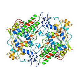 BU of 1prh by Molmil