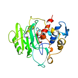 AU of 1pte by Molmil