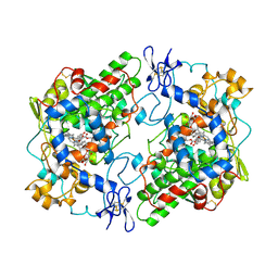 BU of 1pth by Molmil