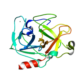 AU of 1ptn by Molmil
